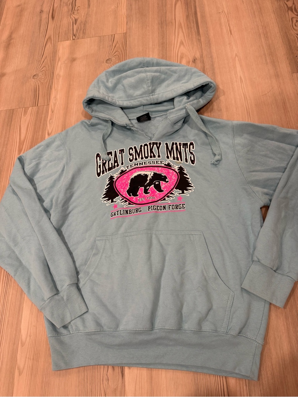 Light dusty Blue Great Smoky Mnts Graphic Hoodie Sweatshirt